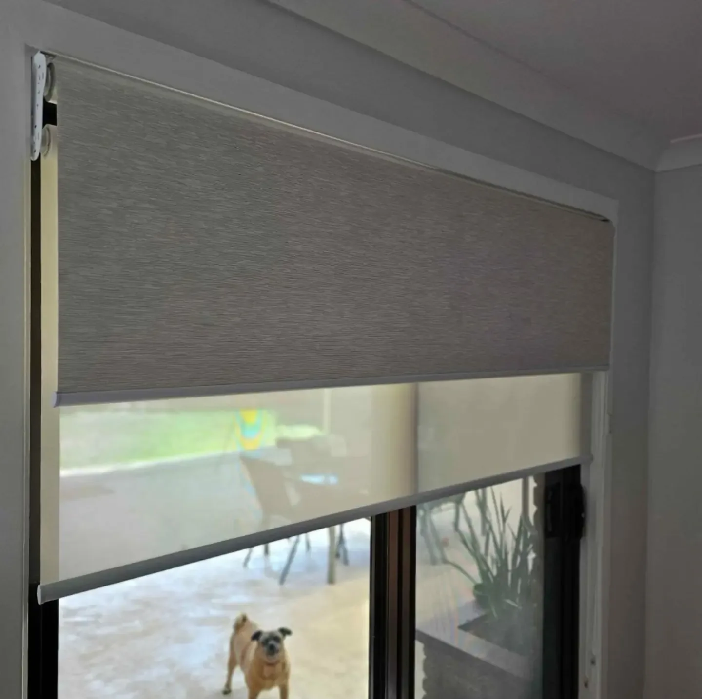 Dual Roller Blinds